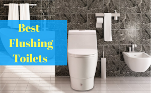 Best Flushing Toilets