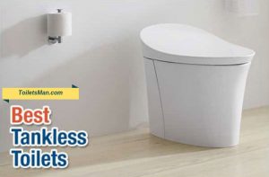 Tankless Toilet