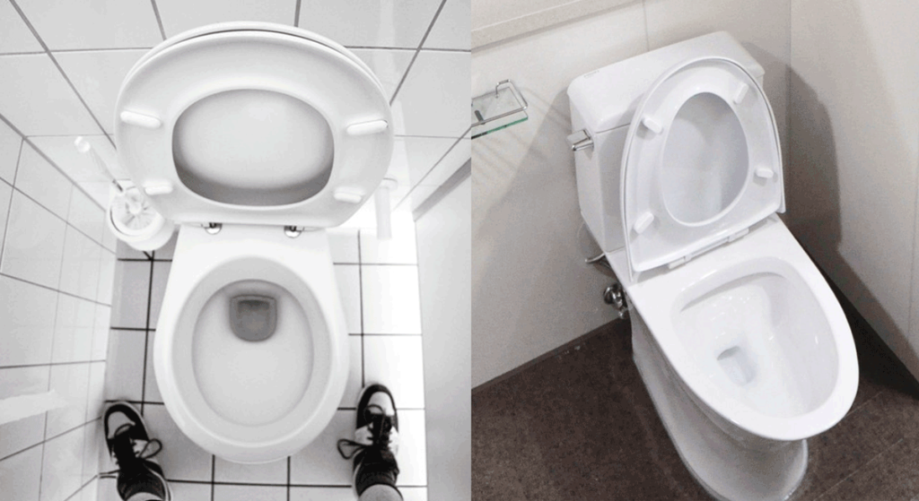 Elongated toilet next to round toilet