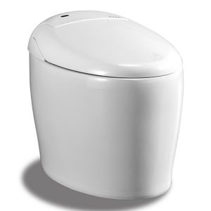 Bio Bidet IB835 Fully Integrated