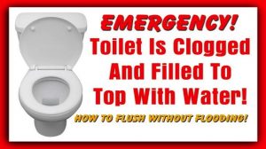 how to unclog a toilet without a plunger