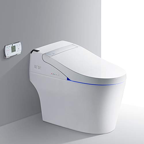 WOODBRIDGE B0960S Auto Flush,...